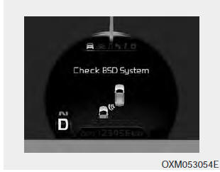 If the system does not work properly, a warning message will appear and the light