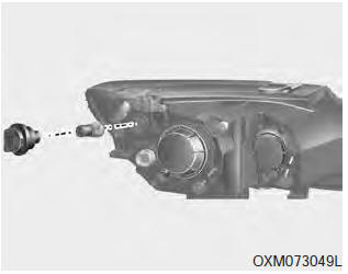 1. Remove the socket from the assembly by turning the socket counterclockwise